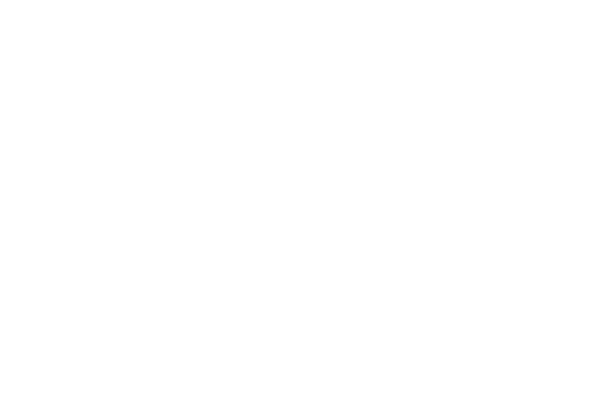 GB & Cie Development